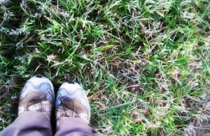 myowntwofeet My own two feet