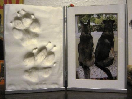 pawprints