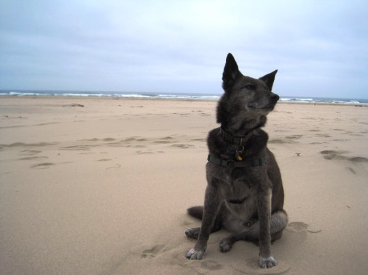 Dexter embraces his gray hair.