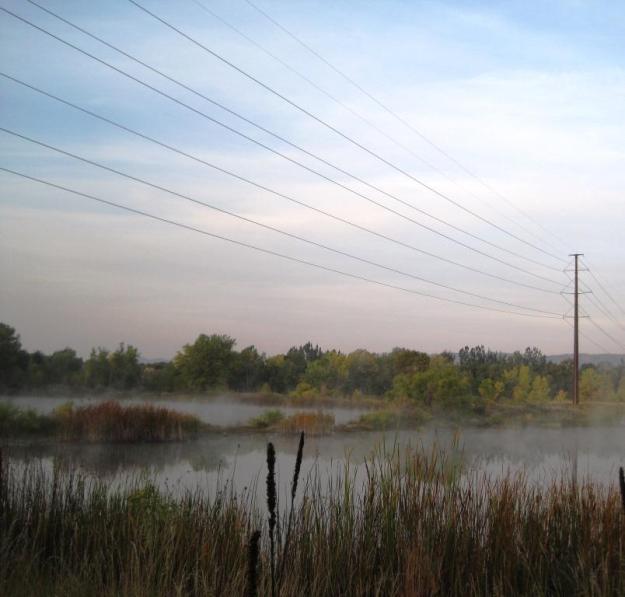 fogpondpowerline