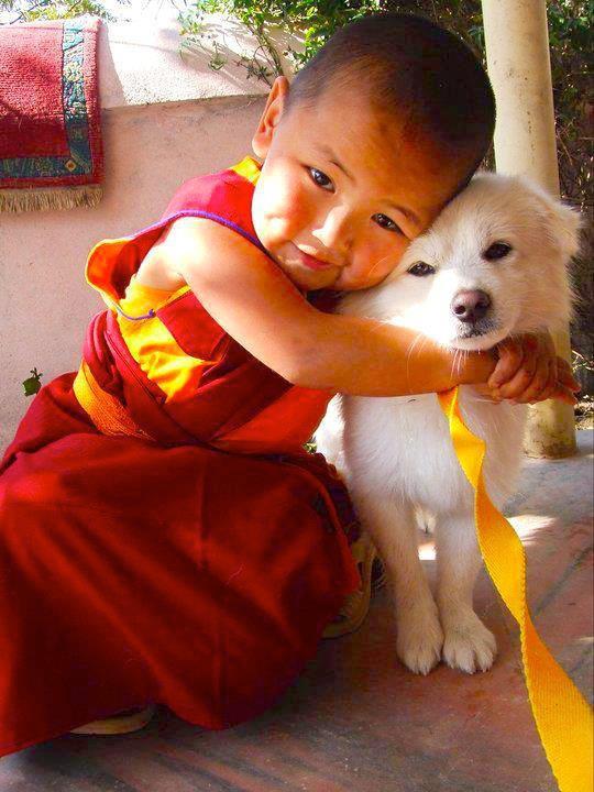 I made my best effort to find the original source of this image, but couldn't, and also couldn't stand not sharing it with you.