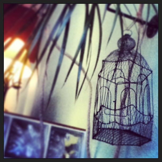 cafeardourbirdcage