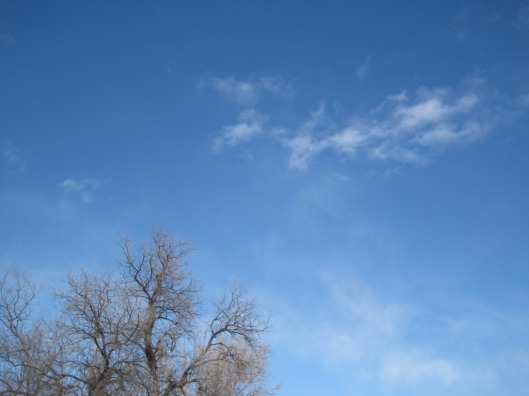New Year's Day Sky