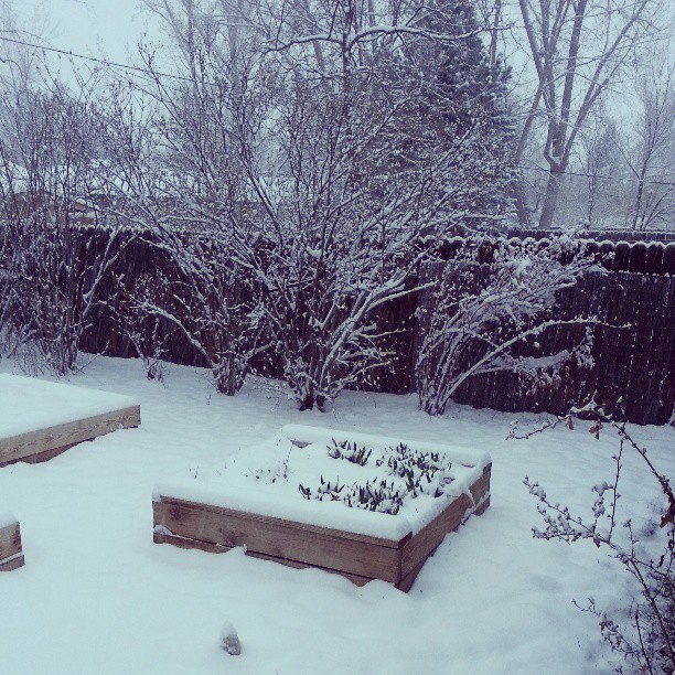 woke up to this, April snow