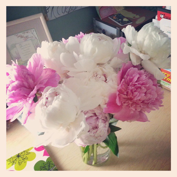 peoniesonmydesk