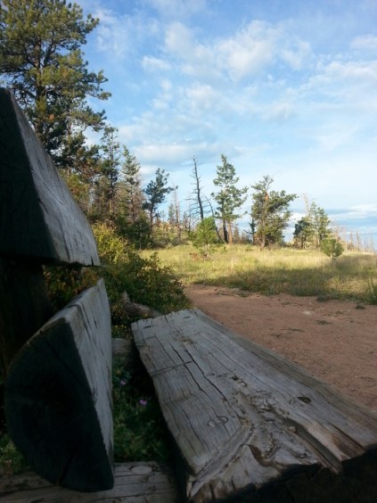 Bench at Greyrock, by Eric Salahub
