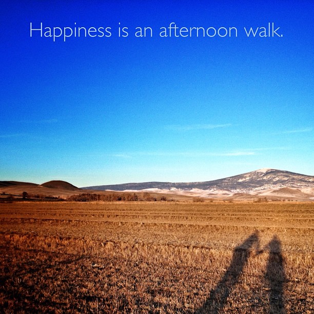 photo by Tammy Strobel