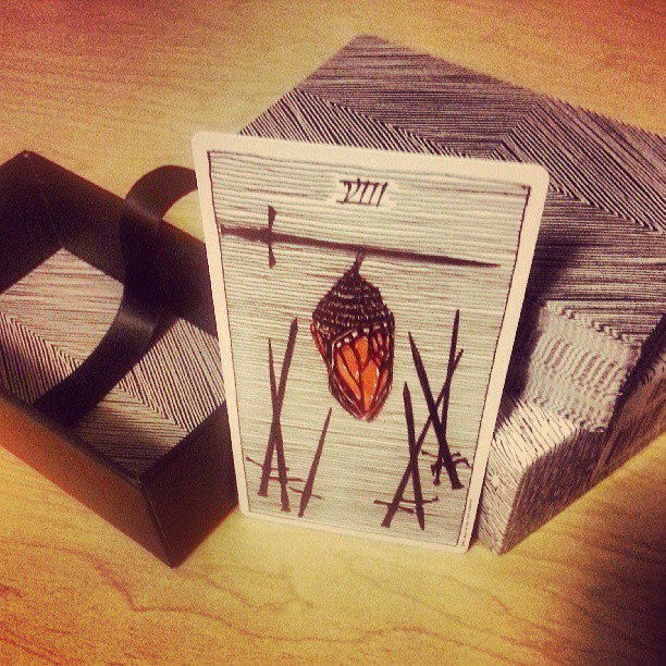 wildunknownfirstcard