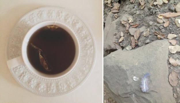 teaandfeather