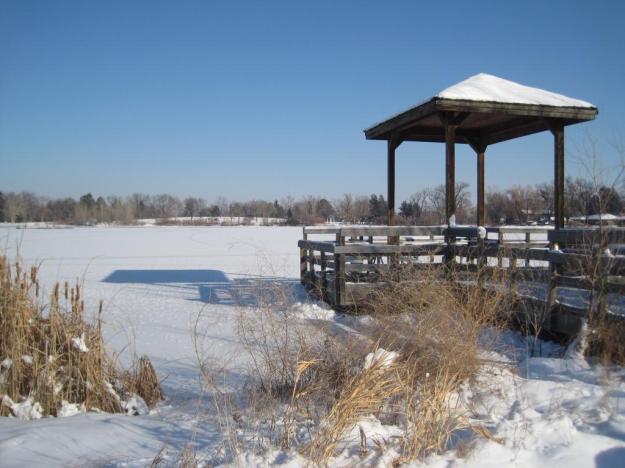 Frozen City Park Pond