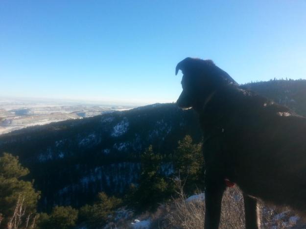 hiking yesterday with Dad, looking for deer