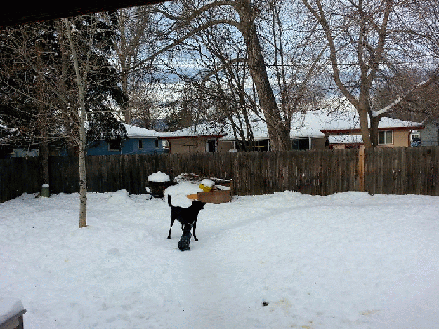 20140212_075626-MOTION