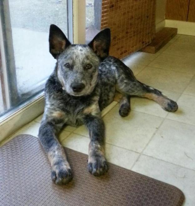 this one has already cost me plenty