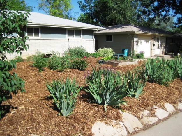 Before, our garden this spring