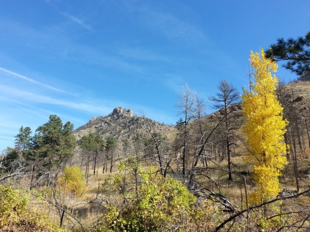 Hewlett Gulch, image by Eric