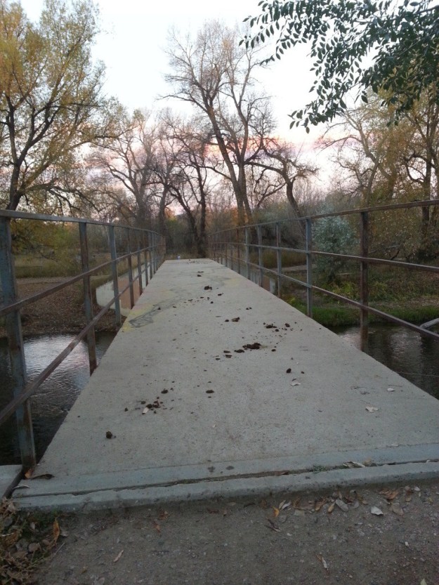 that's not dirt, that's shit