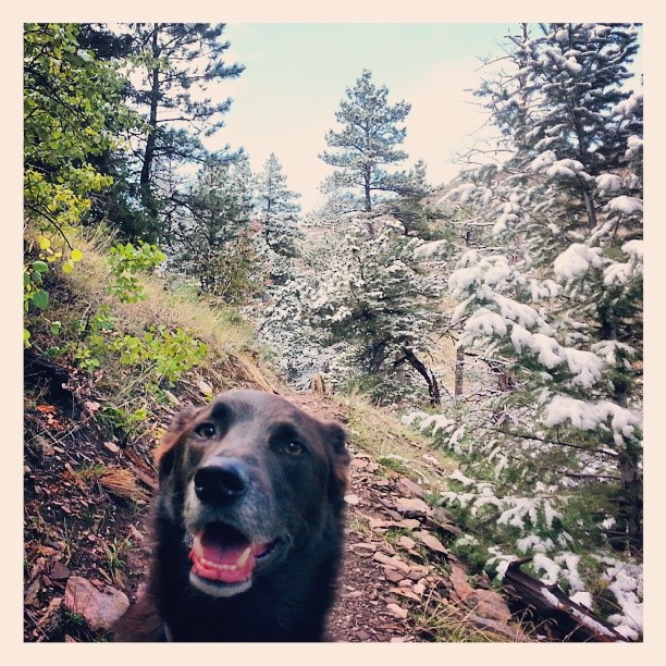 a picture from last fall, still one of my favorites