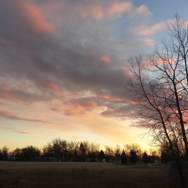 softgoldparkmorningsky