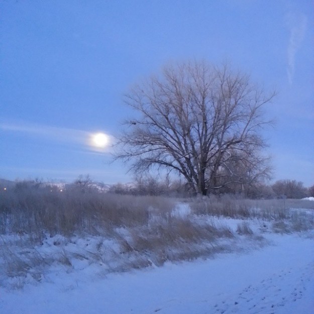snowmoon