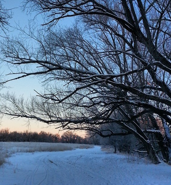 From our walk this morning