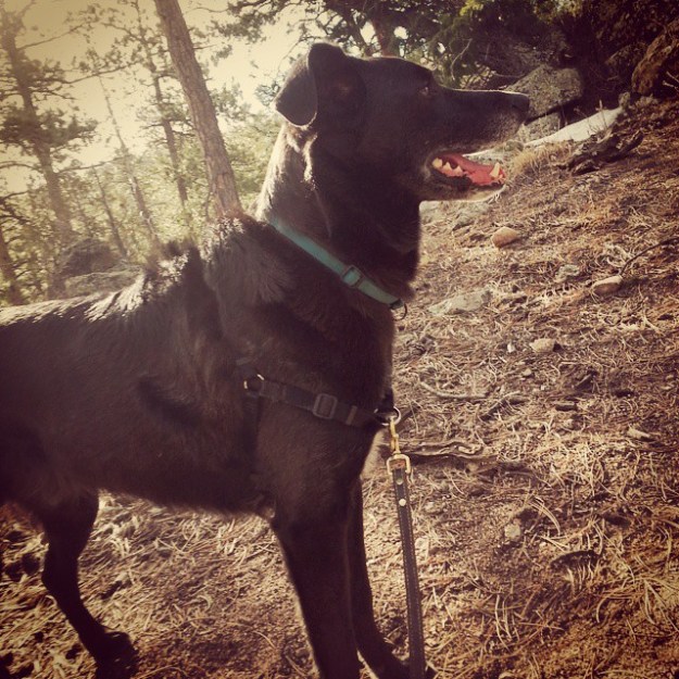 Sweet Sam on Spring Break