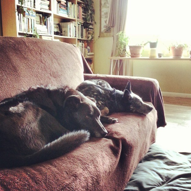 My view for most of the week