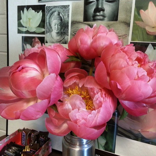 peoniesbuddhasandcandy