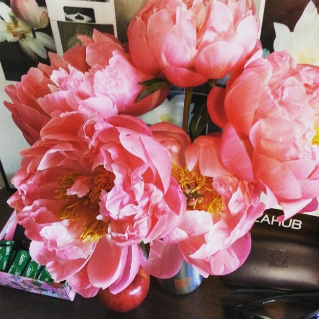 What she looked like when she opened, lower left