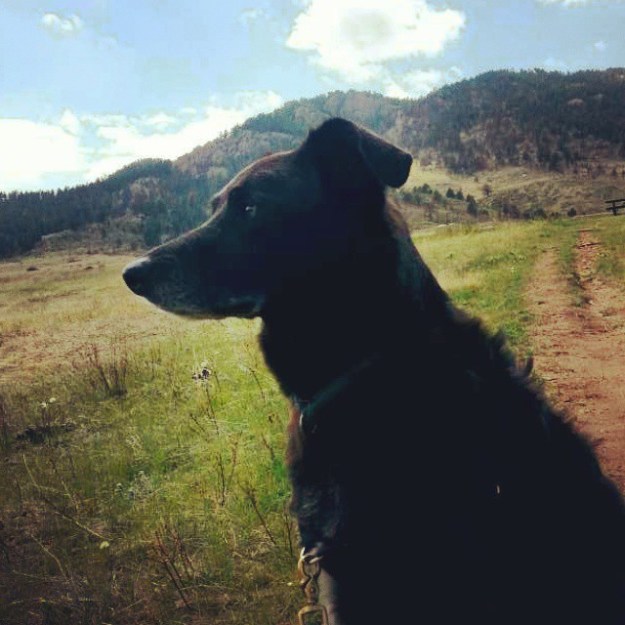 Sam hiking at Lory State Park
