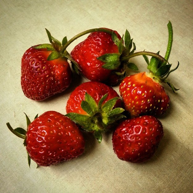 It's a tiny harvest so far, but I'll take it