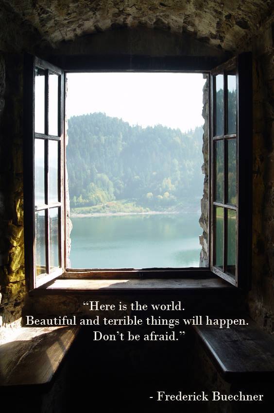 Shared on Facebook by Elephant House & Home