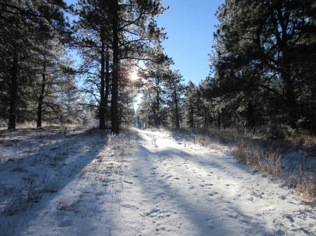 Lory State Park, image by Eric