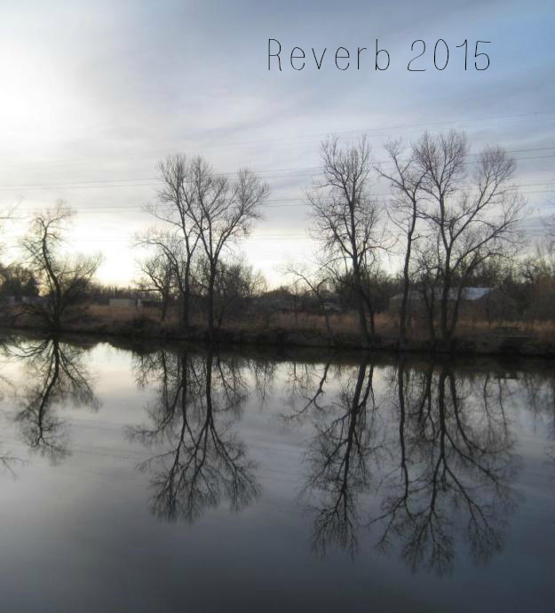 reverb2015