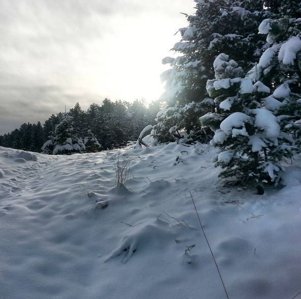 Lory State Park, image by Eric