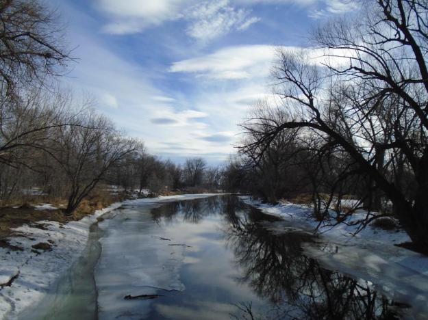 The Poudre River, from our walk this morning, just before I noticed a mink running along the ice