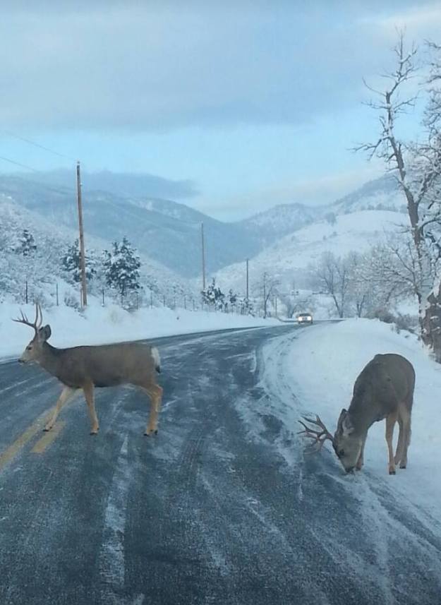 Morning traffic, image by Eric