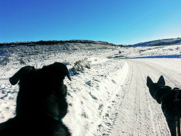 Hiking at Lory State Park with the dad