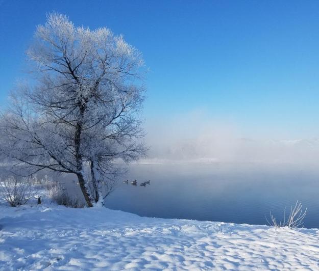 From our morning walk, #nofilter, it really was that blue