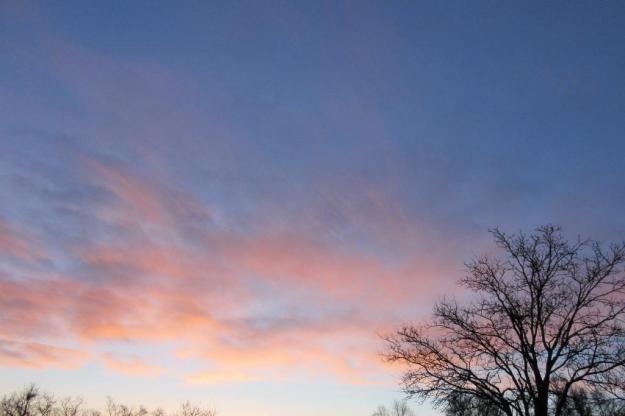 From our walk this morning