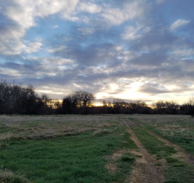 From our walk this morning