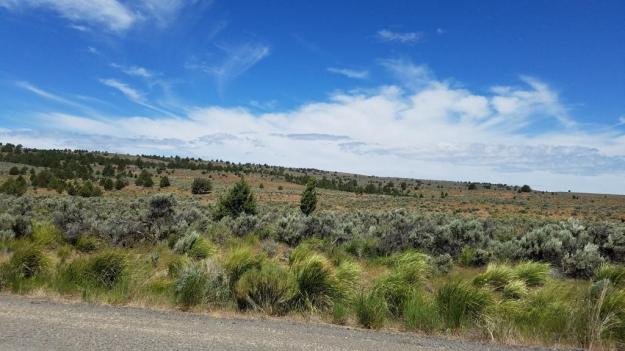 Somewhere in central Oregon