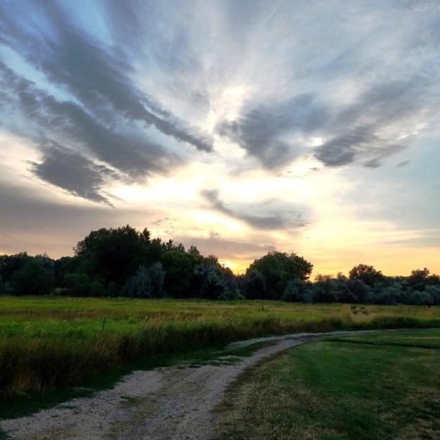 From our walk this morning