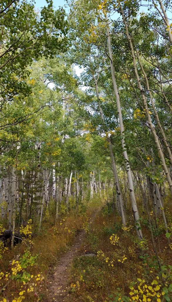 Fish Creek Train, by Eric