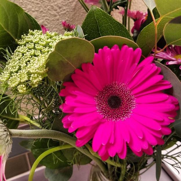 flowersinthebathroom02