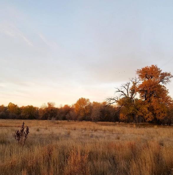 From our walk yesterday morning