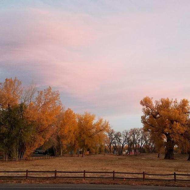 morningfallcottonwoods