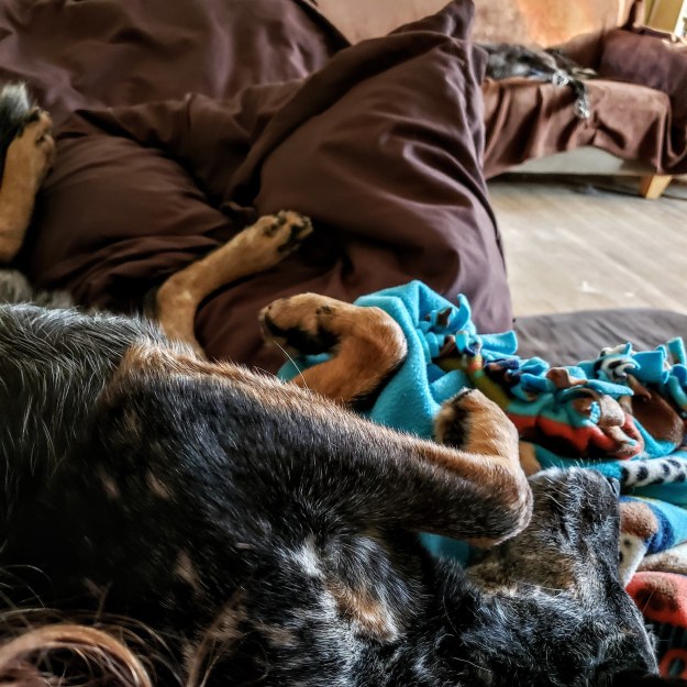 IMG_20200102_143457_836