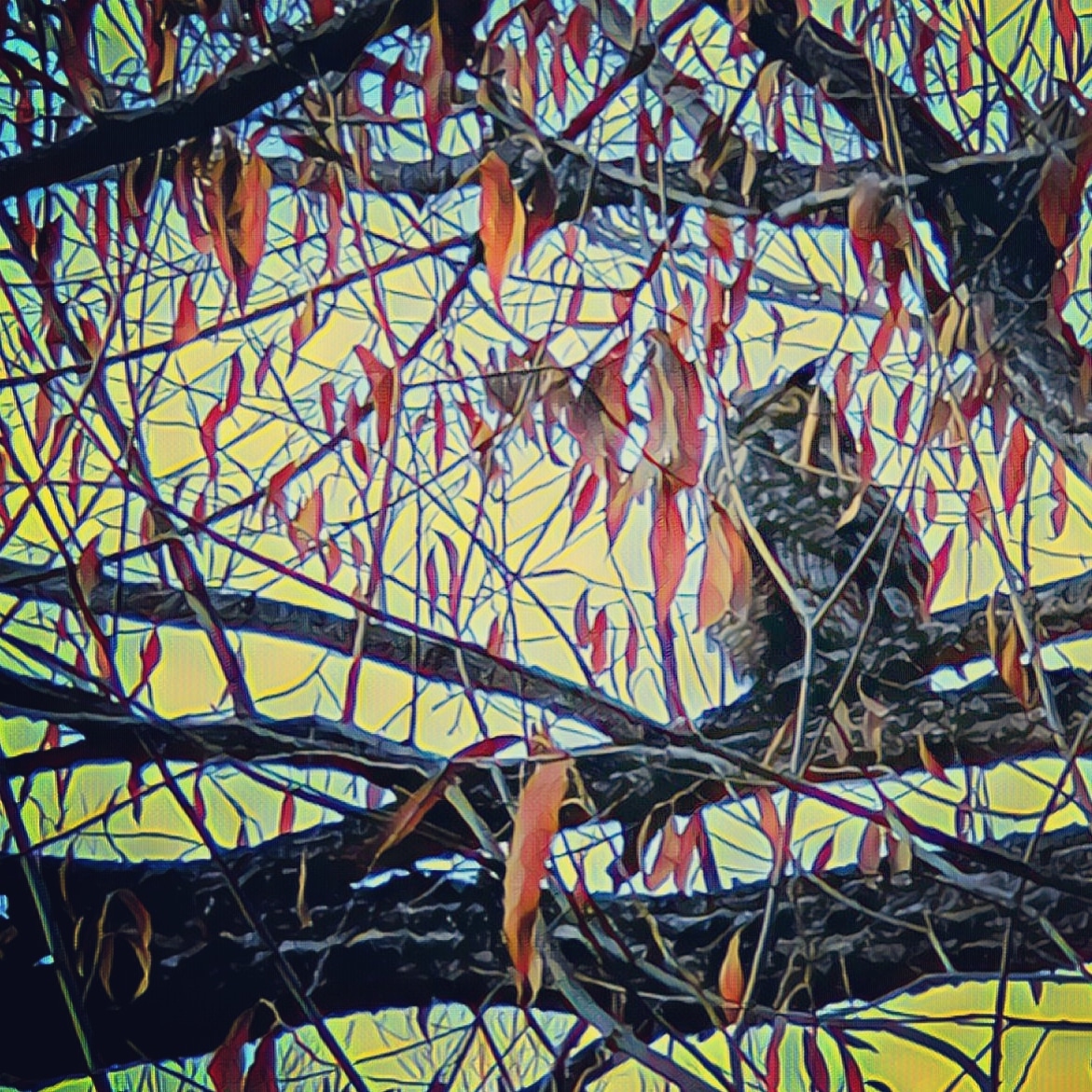 IMG_20221115_080415_857