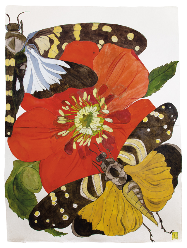 sarah_graham_paeonia_hillary_ink_on_paper_2019