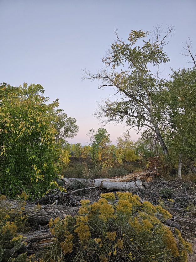Fall color by the river